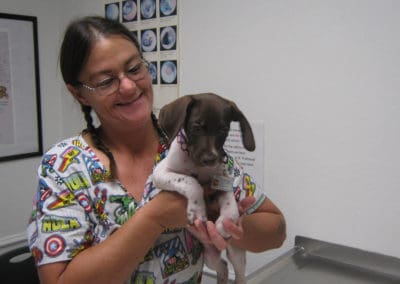 Small dog at Eighth Street Animal Hospital