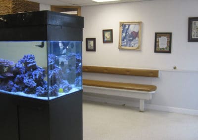 Eighth Street Animal Hospital interior with aquarium
