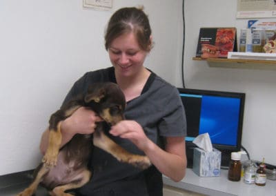 Eighth Street Animal Hospital worker with a young dog