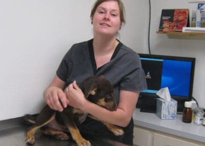 Eighth Street Animal Hospital worker with a puppy