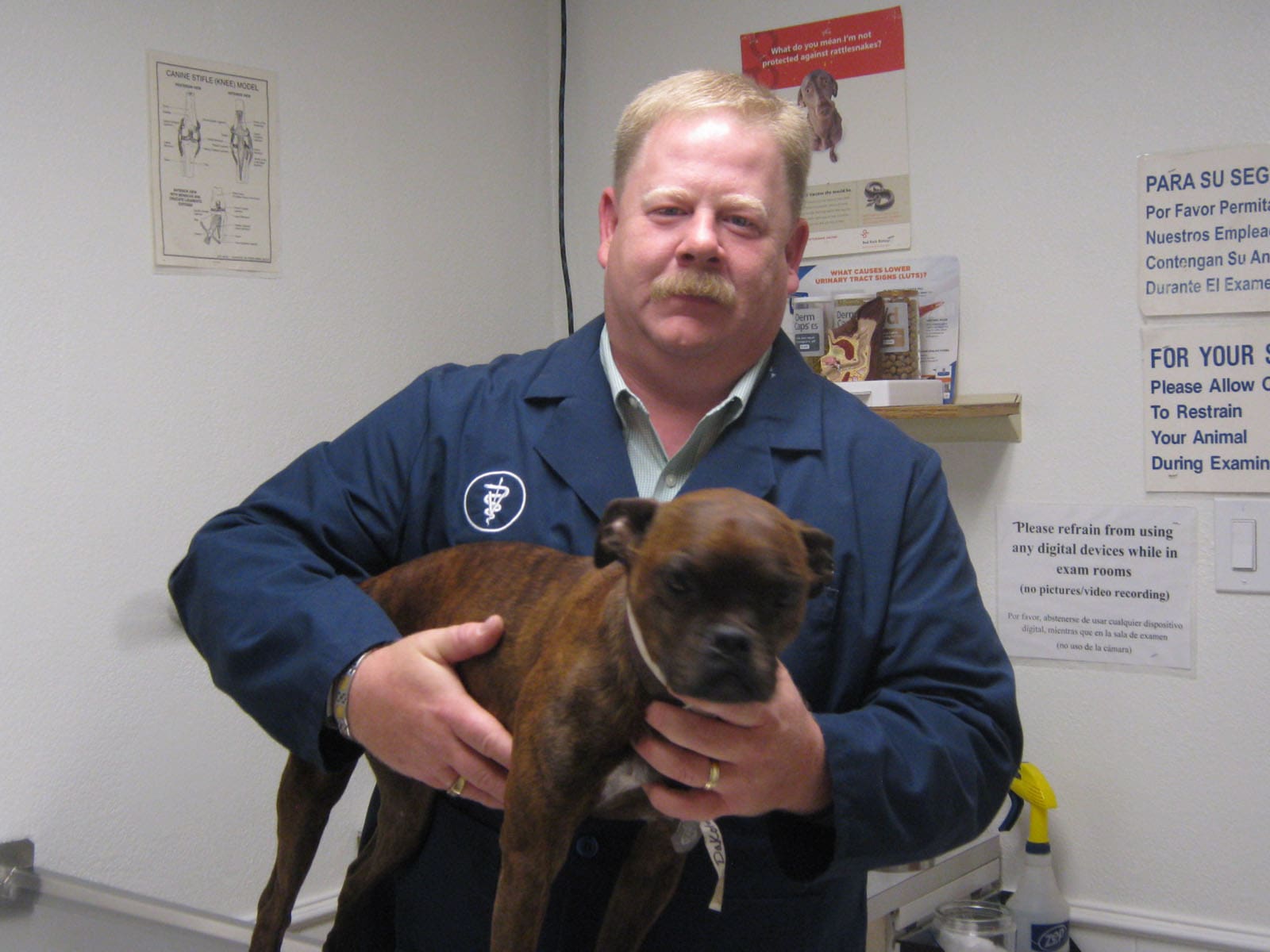 Dr. Steve Wade, Veterinarian at Eighth Street Animal Hospital